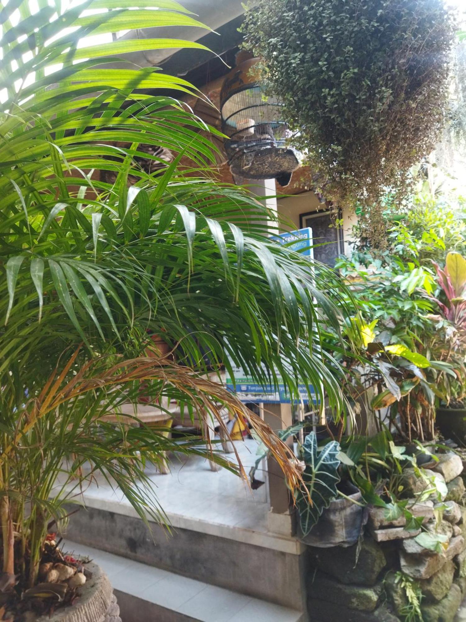 Hotel Wahwik's House Ubud Exterior foto