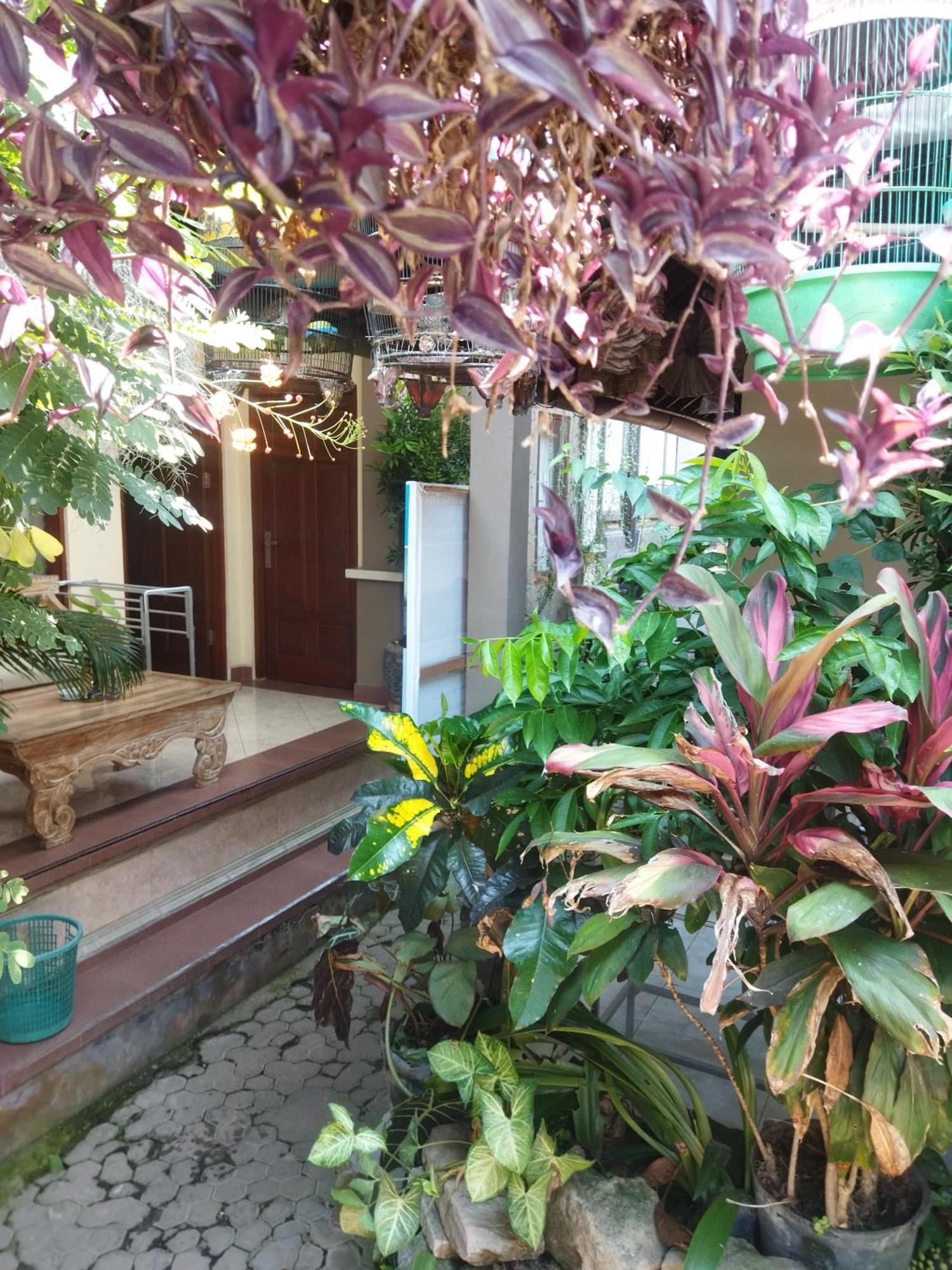 Hotel Wahwik's House Ubud Exterior foto